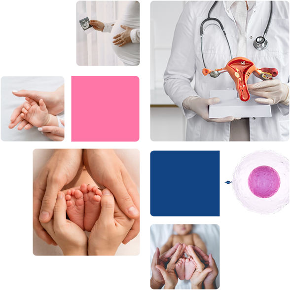 fertility treatment
