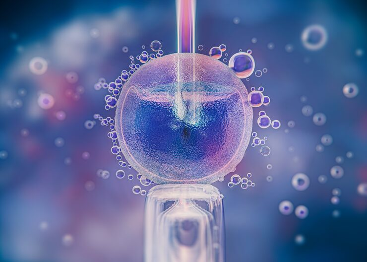 fertility egg