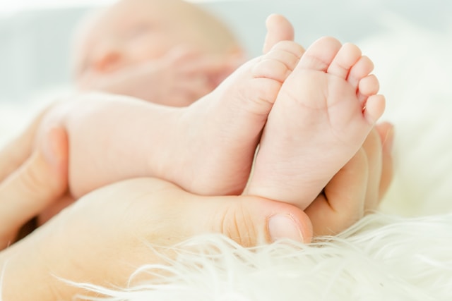 sperm extraction