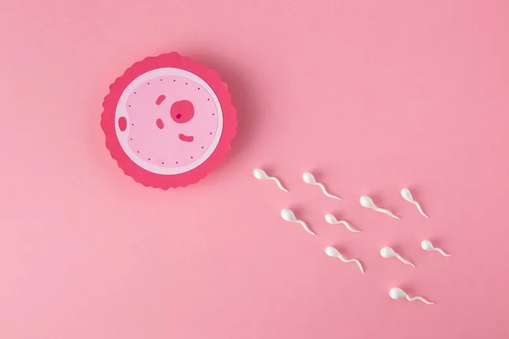 fertility treatment