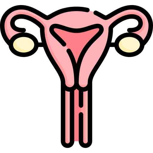 fallopian tube
