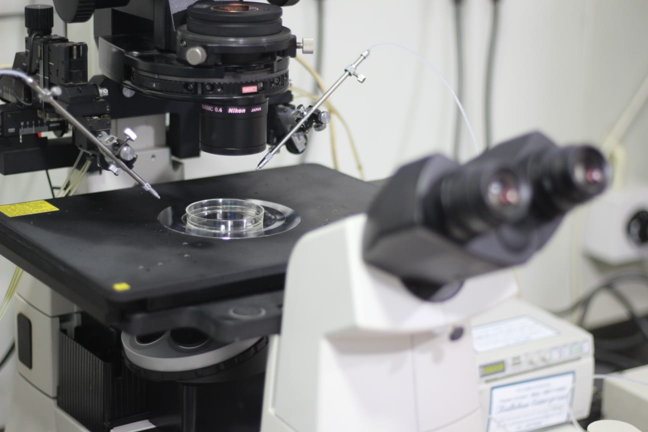 IVF Treatment Process