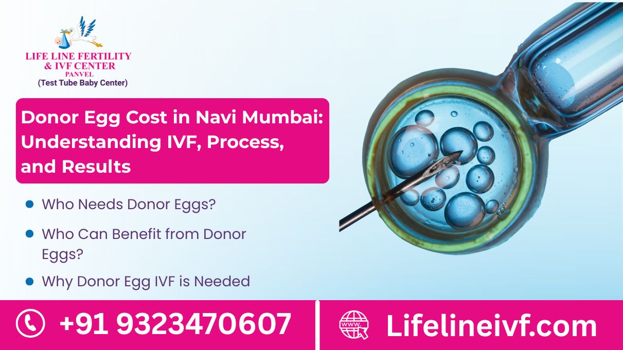 donor egg