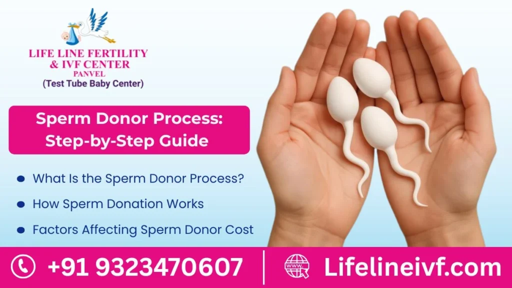Sperm Donor Process: Step-by-Step Guide