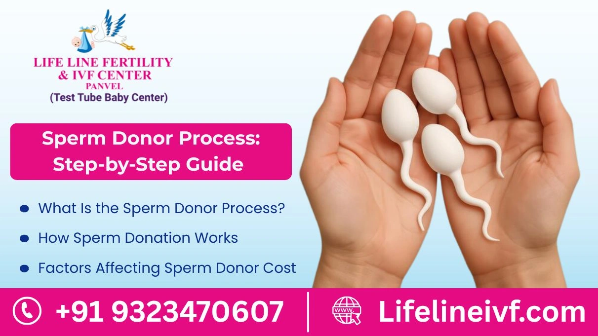 Sperm Donor Process: Step-by-Step Guide