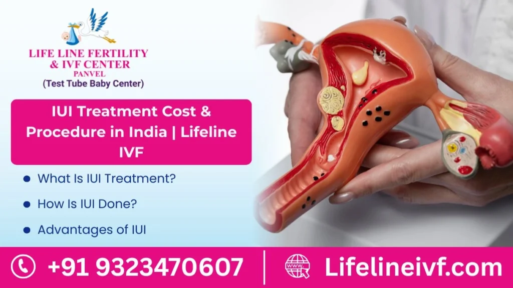 IUI Treatment Cost & Procedure in India
