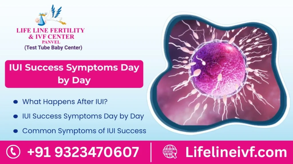 iui success symptoms day by day