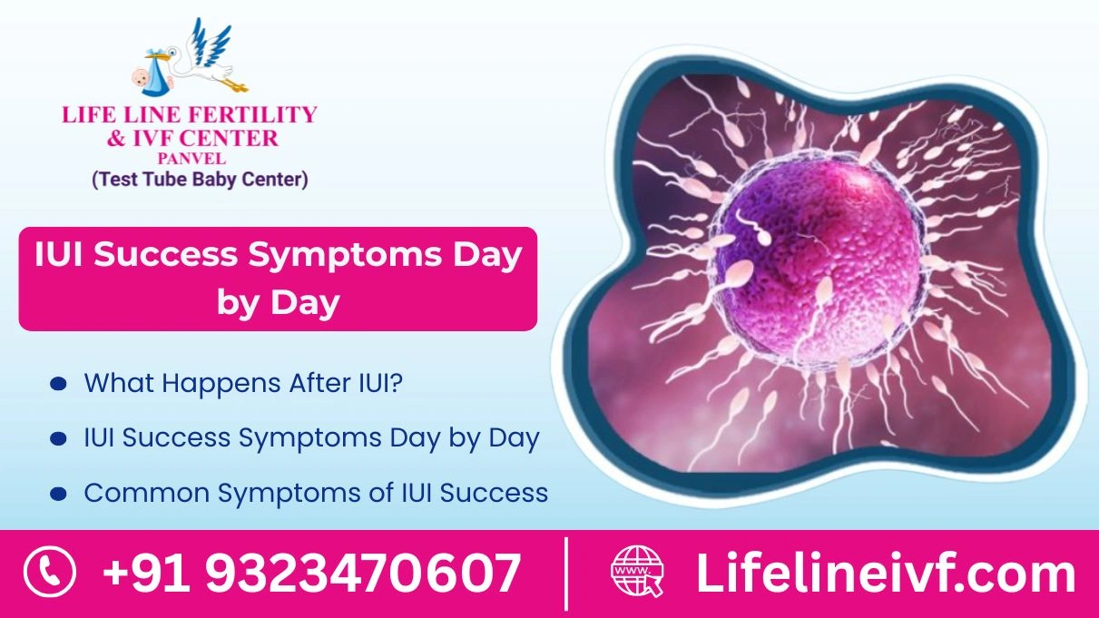 iui success symptoms day by day