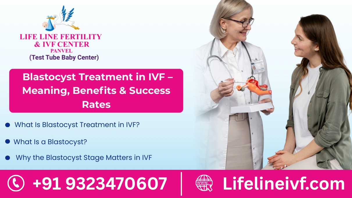 Blastocyst Treatment in IVF