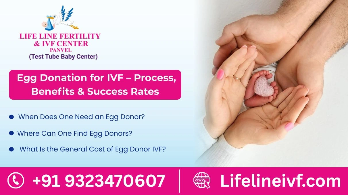 egg donation for ivf