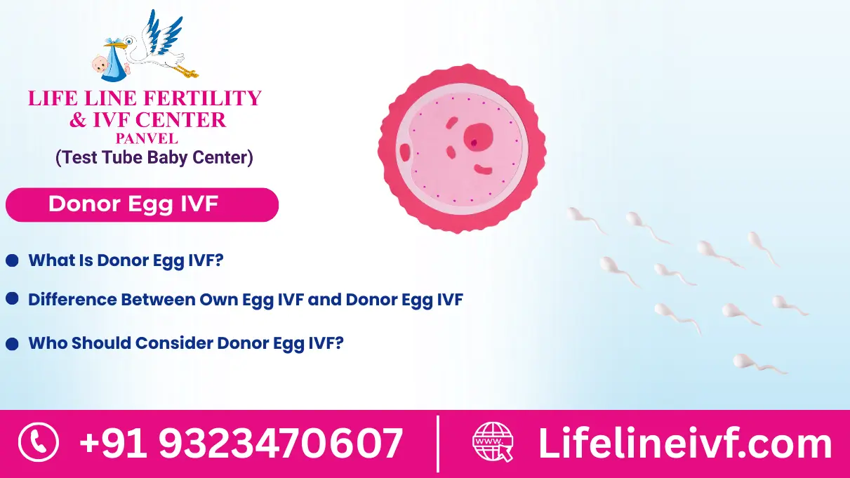 donor egg ivf​