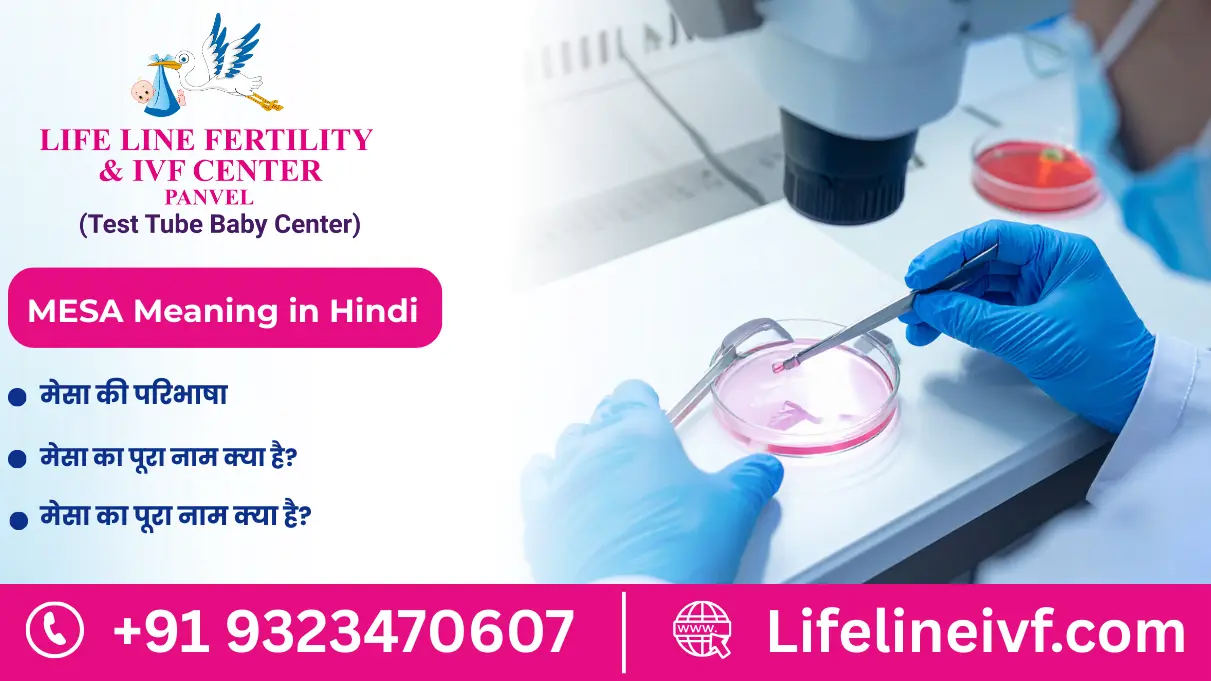 MESA Meaning in Hindi