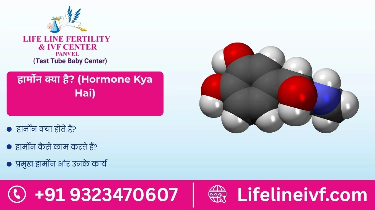 Hormone Kya Hai?