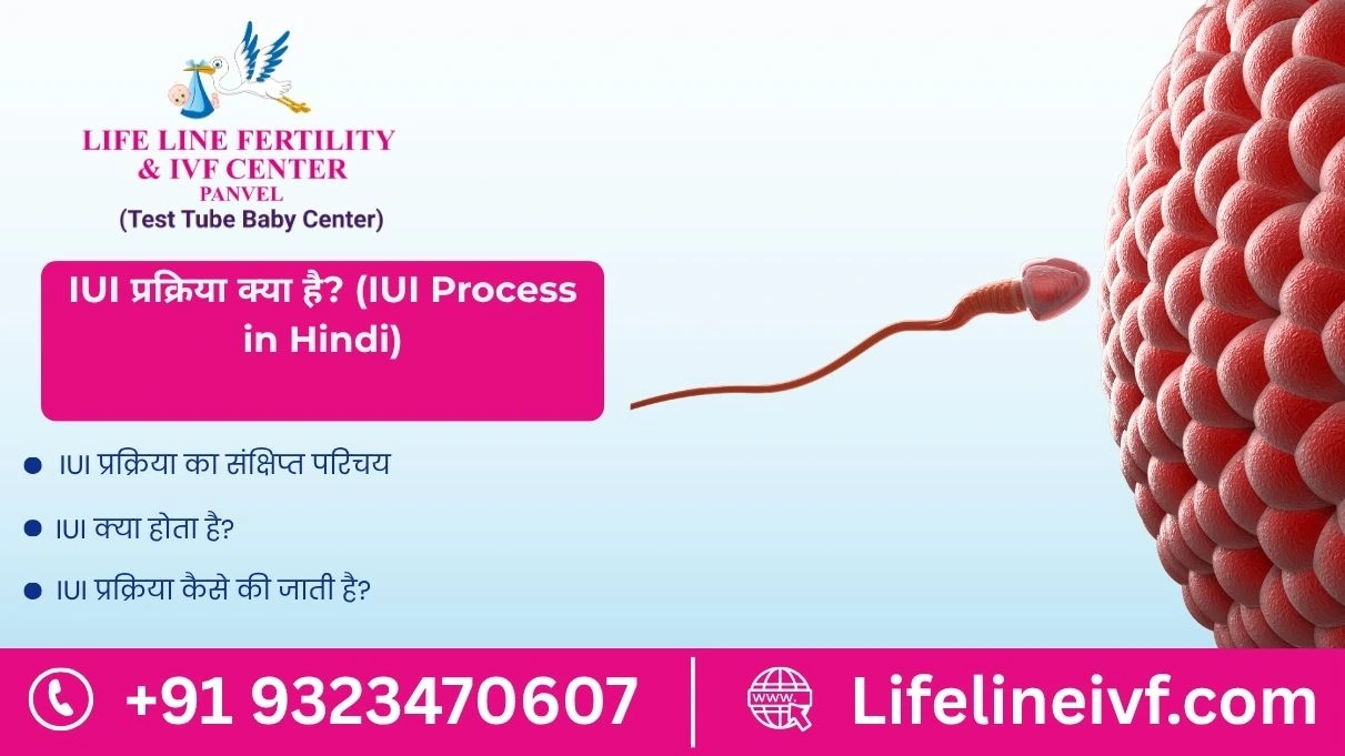 IUI Process in Hindi