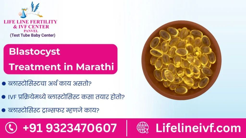 blastocyst meaning in marathi