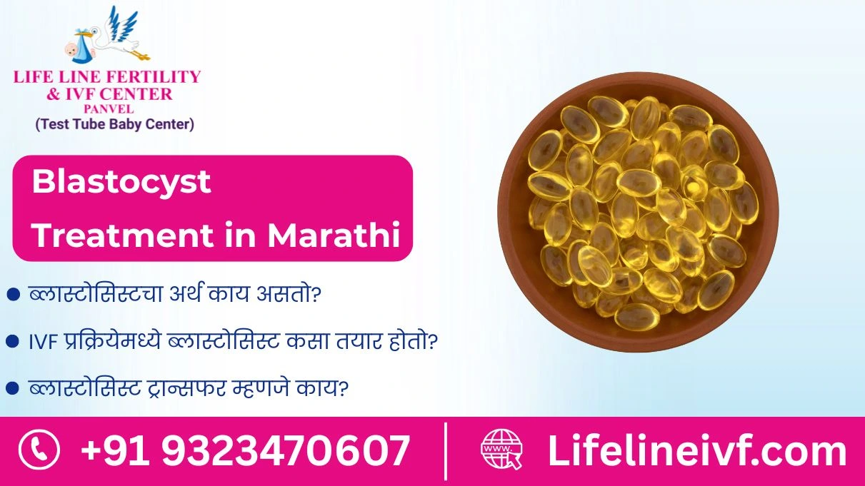 blastocyst meaning in marathi​