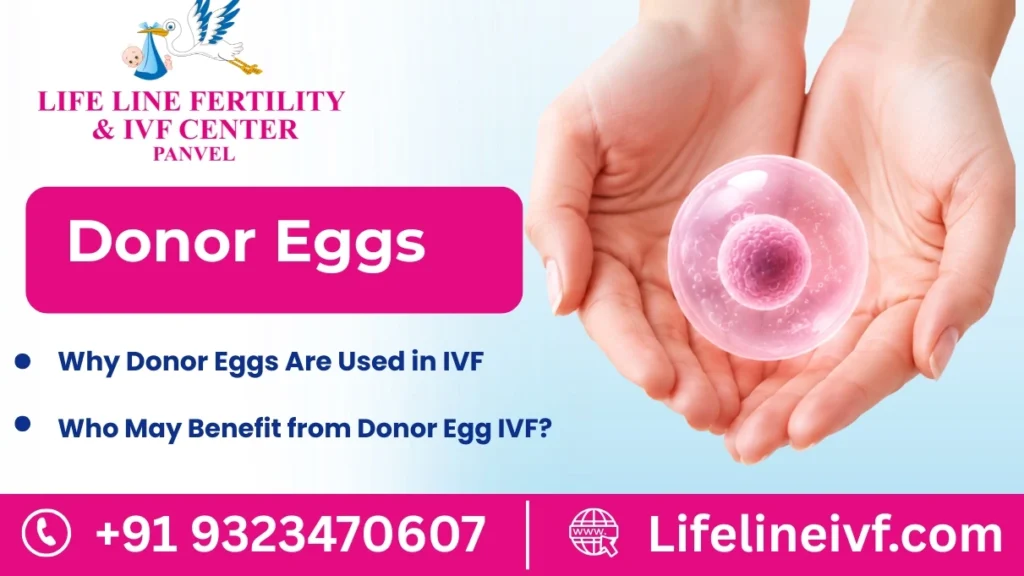Donor Eggs