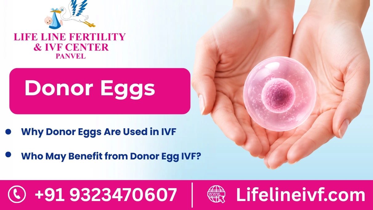 Donor Eggs