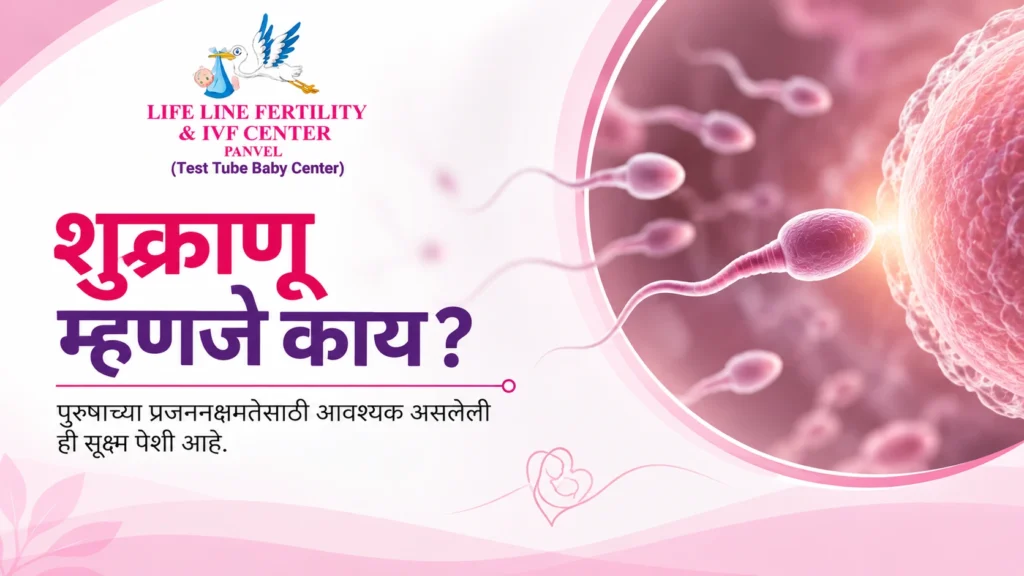 sperm meaning in marathi