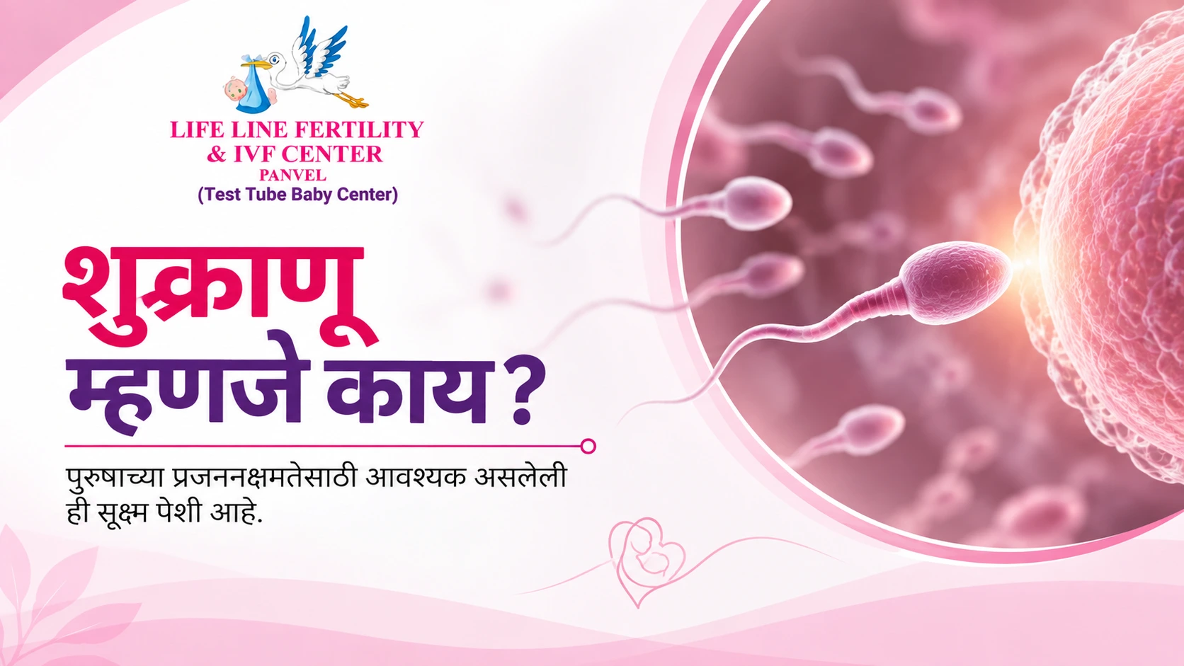 sperm meaning in marathi