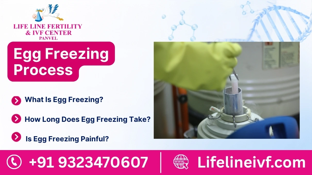 Egg Freezing Process