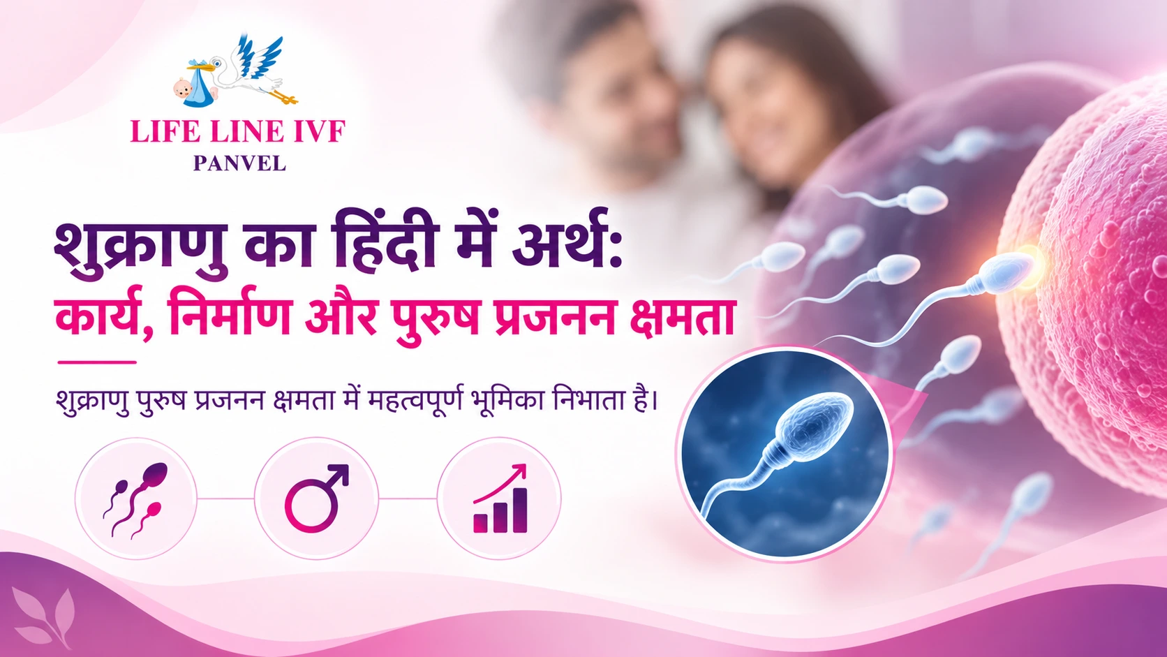 Fertility Science Sperm and Egg Infographic